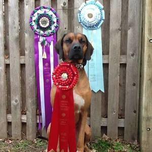 Meet your Posher, Nadine